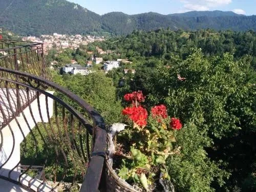 Calea Poienii Penthouse, Brasov interior view