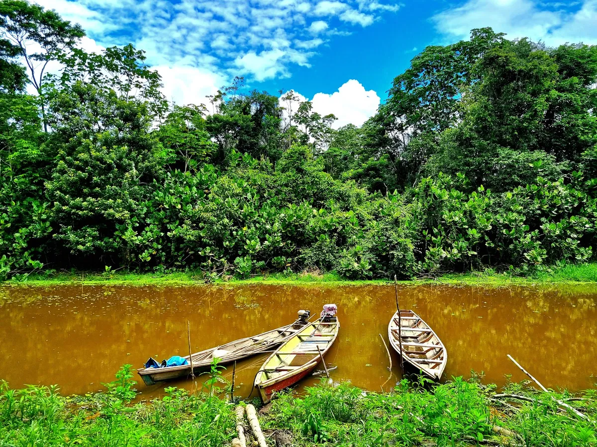 Capibara Experiences, Leticia interior view