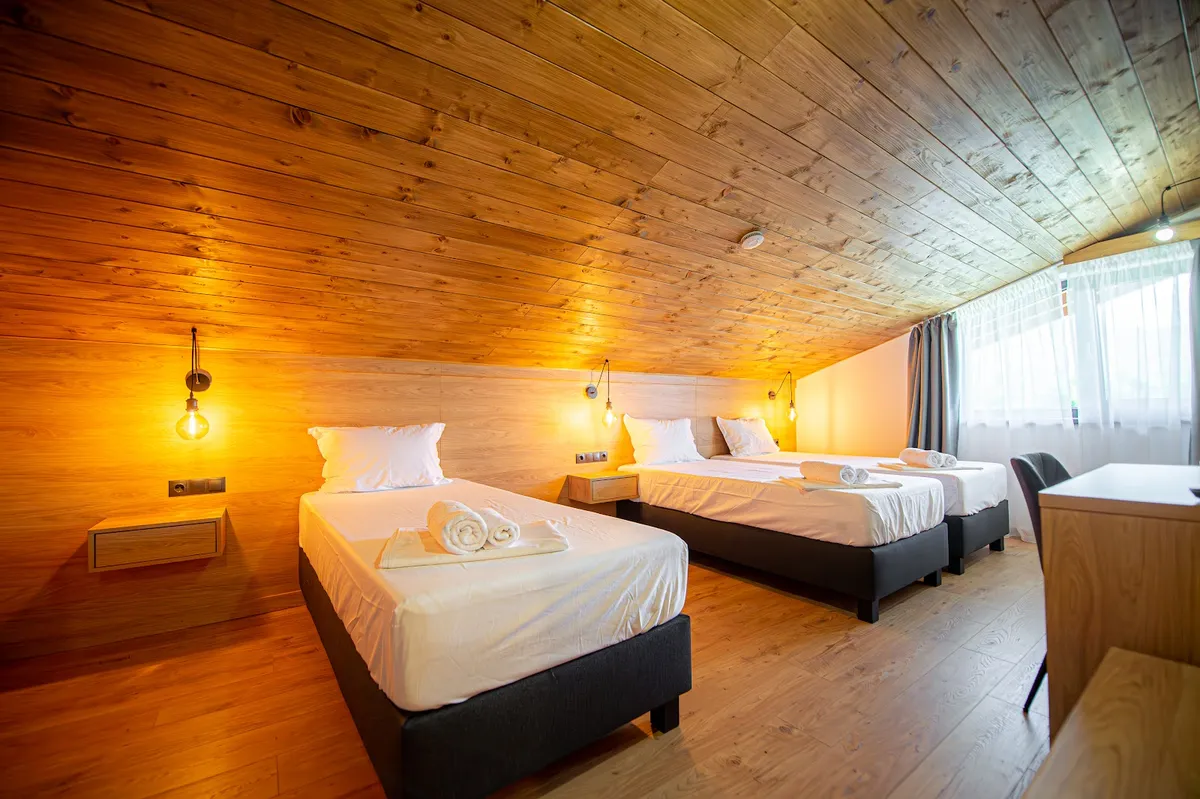 Casa Hirsch - Pensiune/Cabană Valea Avrigului, Sibiu, Transylvania interior view