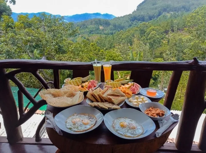 Chill Wood Resort, Ella interior view
