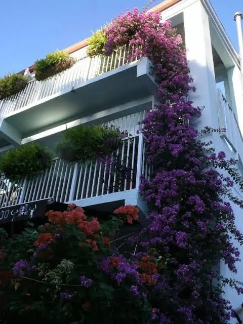 Cruz Bay Boutique Hotel, St John interior view