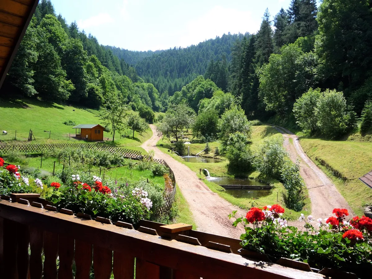 Eulersbacher Hof - Ferienhof und Forellenzucht, Black Forest interior view