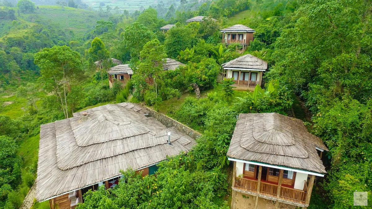 Four Gorillas Lodge, Rubuguri - Rushaga, Bwindi interior view