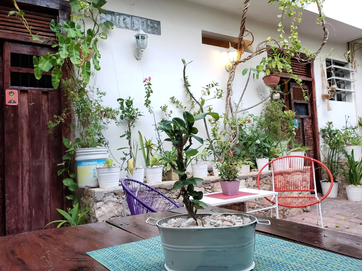 Hotel La Piazzetta & Cafeteria, Merida interior view