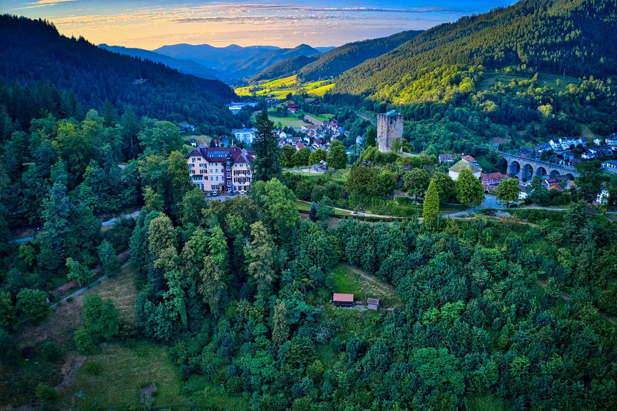 Hotel Schloss Hornberg, Black Forest interior view
