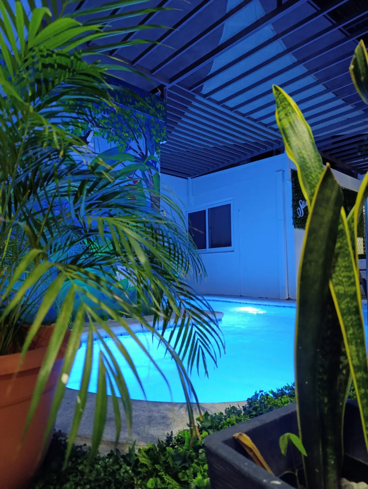 Hotel Sueños, San Salvador interior view