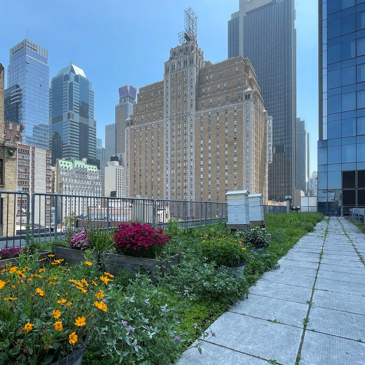 InterContinental New York Times Square by IHG, New York interior view