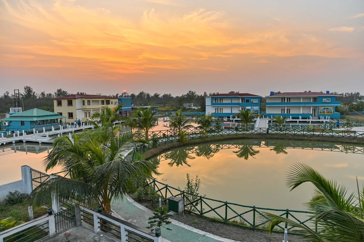 Jhore Jole Jongole - Eco Heritage Resort, Jharkhali, Sunderban, Sundarbans interior view