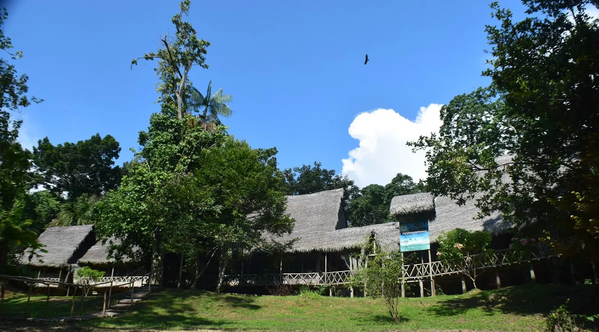 Jungle Wolf Expeditions | Lodge & Tours Iquitos, Iquitos interior view