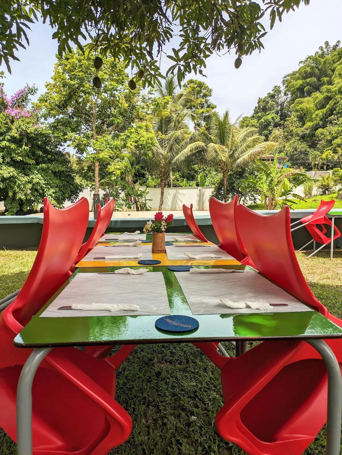 Kingston Reggae Garden, Kingston interior view
