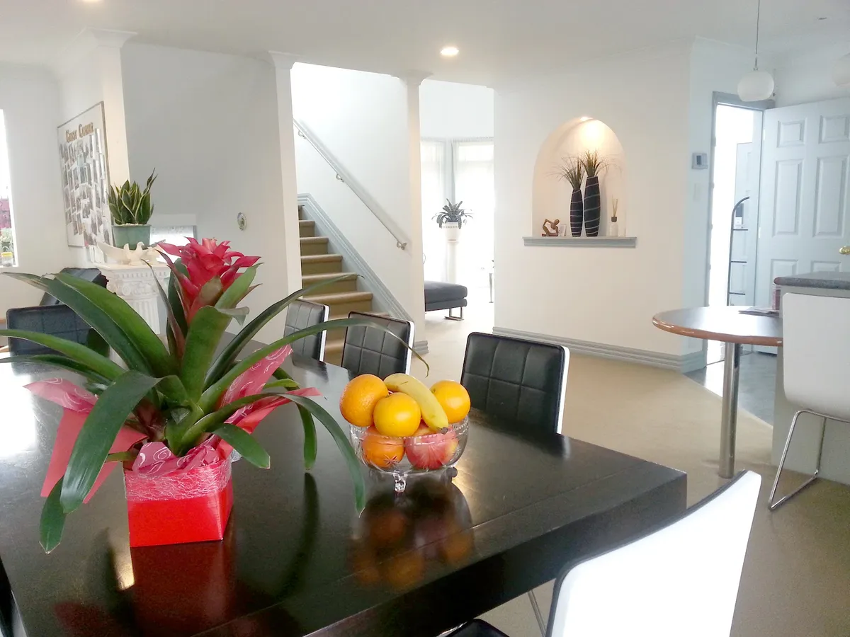 Lush & Co Auckland Bed & Breakfast, Auckland interior view