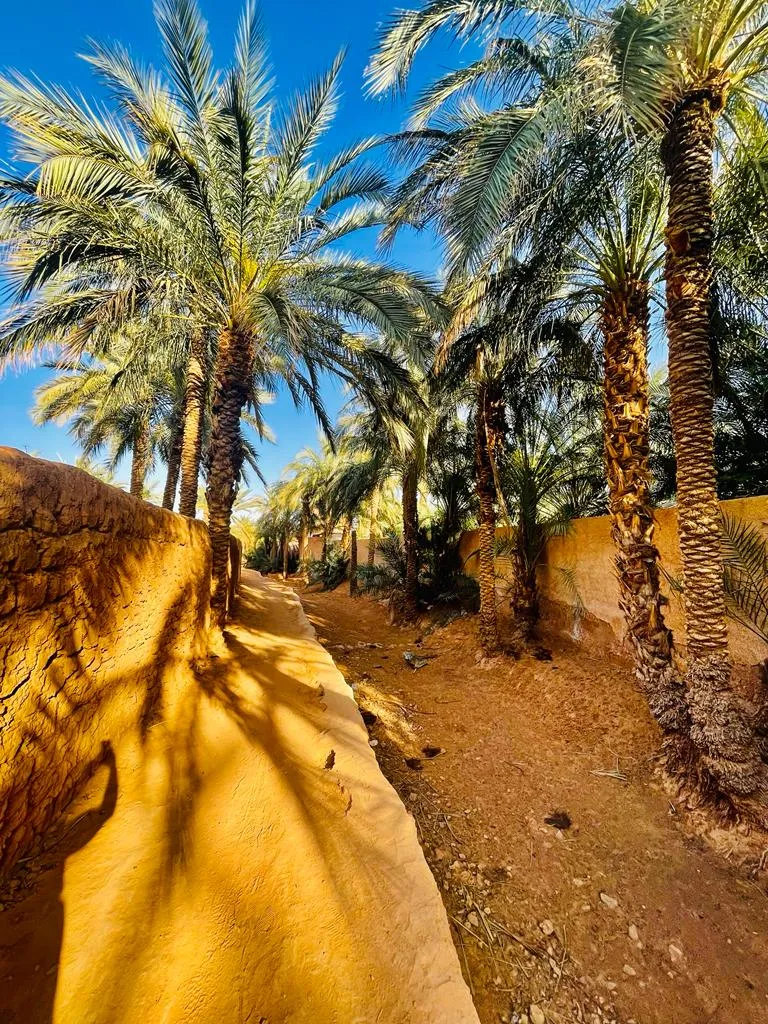 Maison d’hôtes Taskift, Ghardaia interior view
