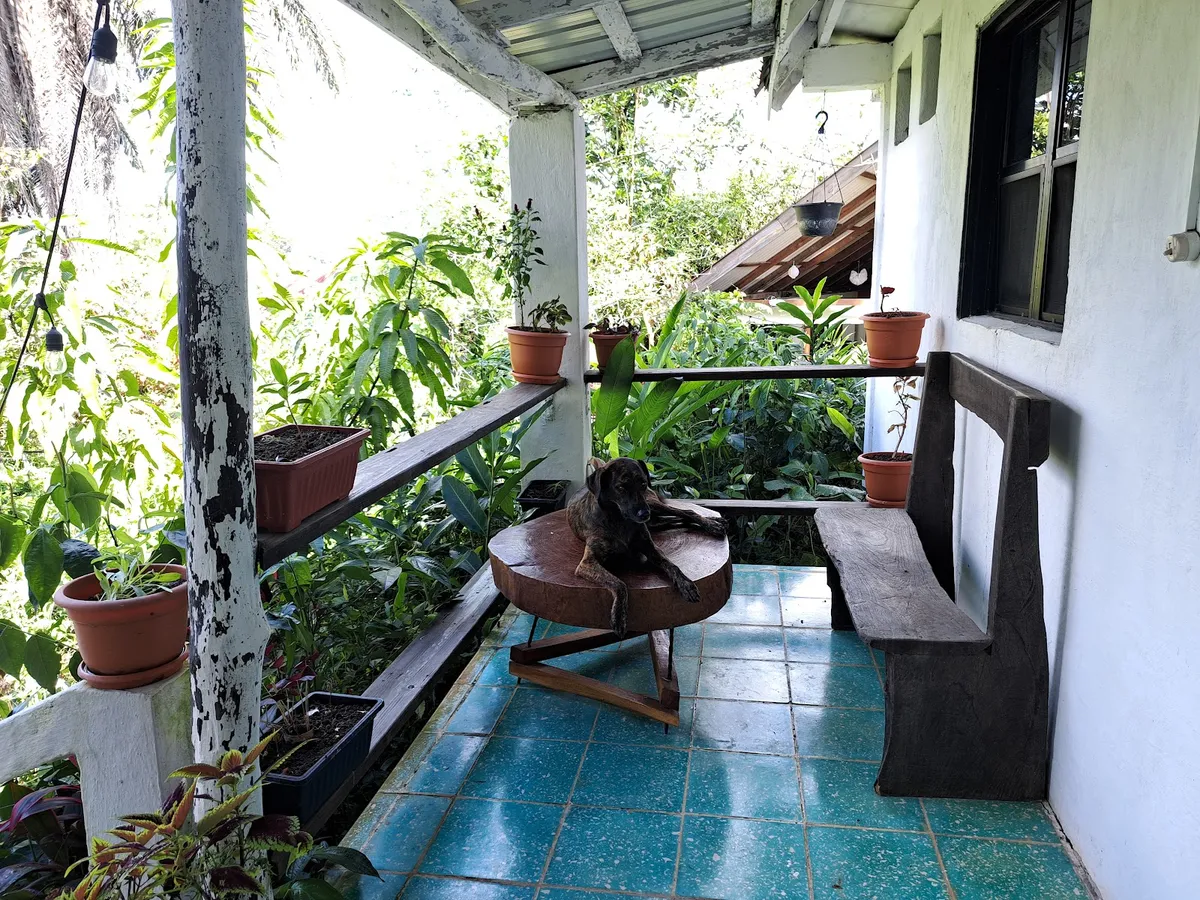 Nabitunich "The Stone Cottage", Yucatan Peninsula interior view