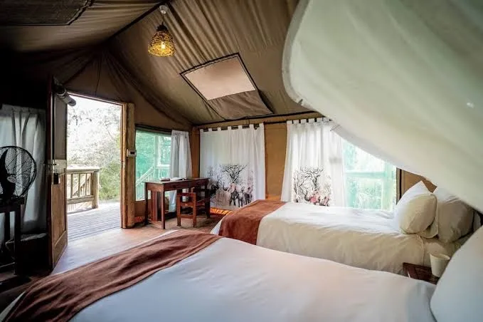 Nata Lodge - Tent, Nata interior view