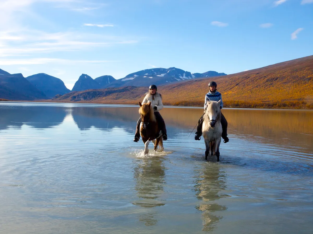 Ofelas Icelandic horses and guide service, Kiruna interior view