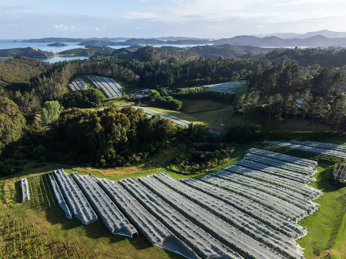 Paroa Bay Winery and Accommodation, Bay Of Islands interior view