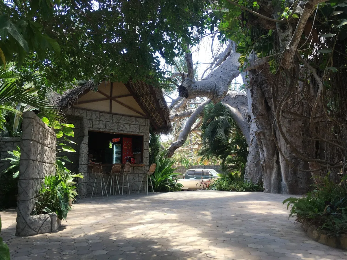 Pieter's Place, Pemba interior view
