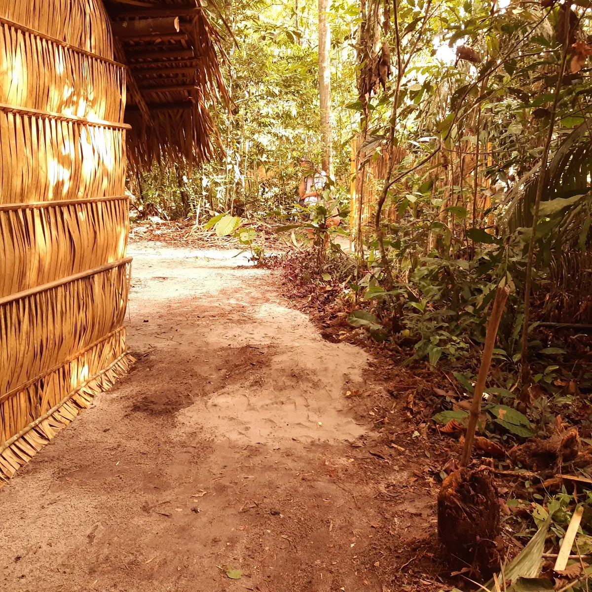 Pousada Na Floresta - Espaço Uarumã, Manaus interior view