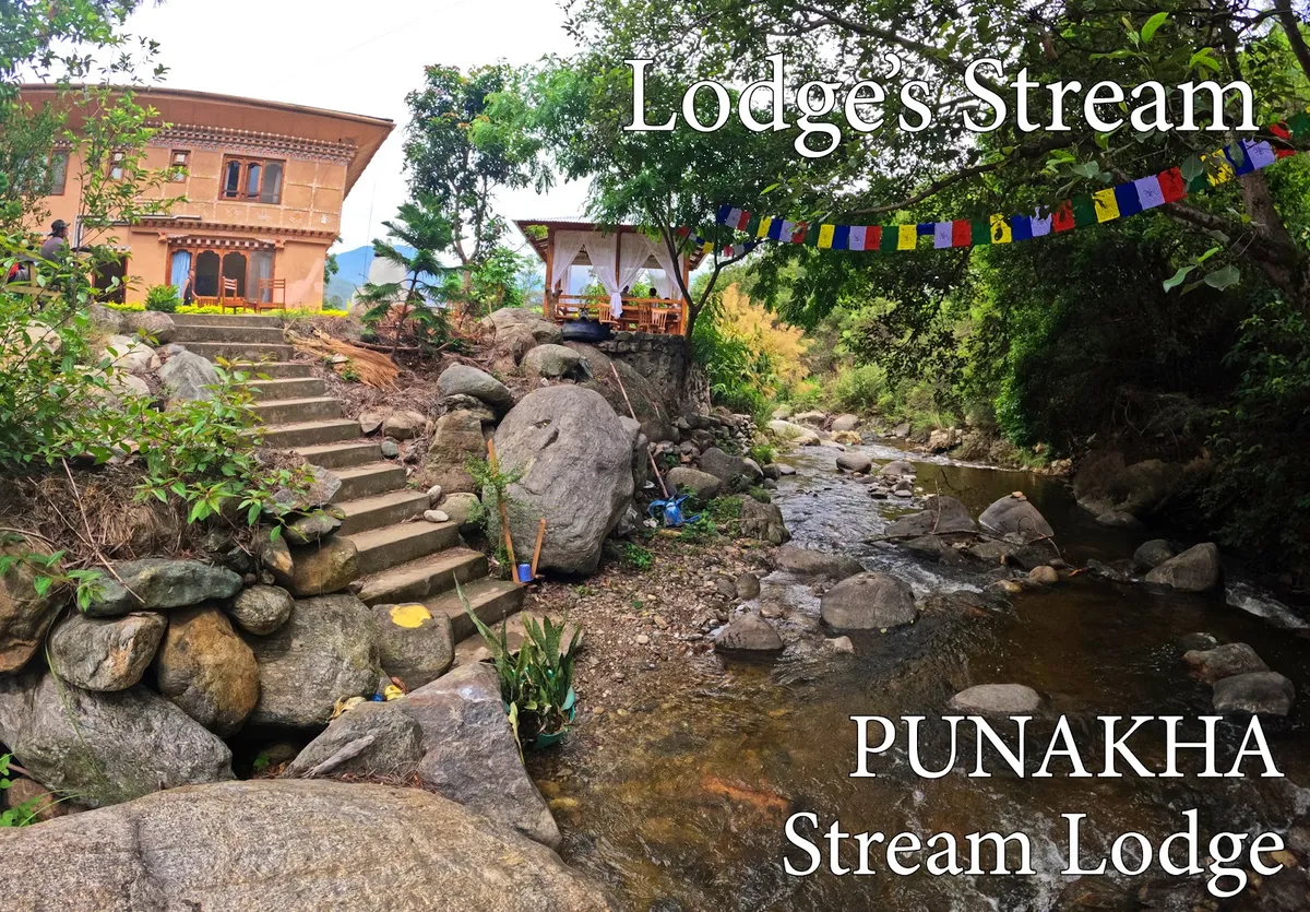 Punakha Stream Resort, Punakha interior view