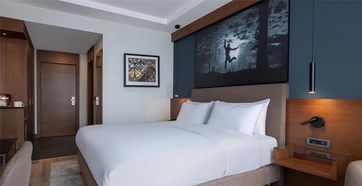 Radisson Blu Hotel, Ankara Cankaya, Ankara interior view