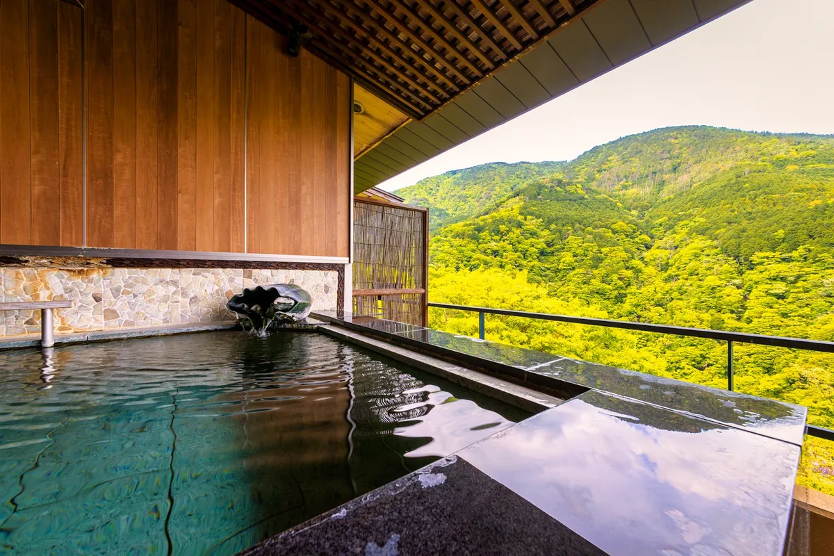 Ryokan Hakone Ginyu, Hakone interior view