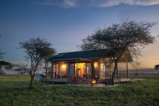 Serengeti Sametu, Serengeti interior view