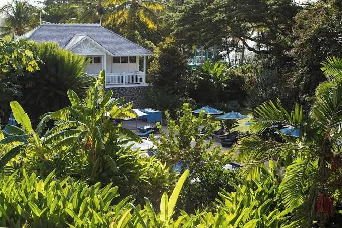 StolenTime Saint Lucia, Castries interior view