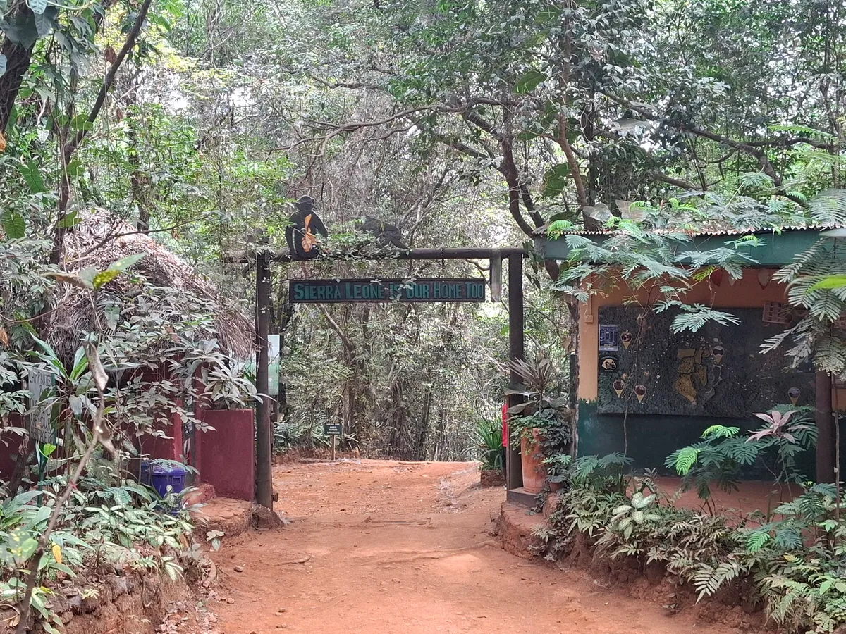 Tacugama Chimpanzee Sanctuary, Freetown interior view