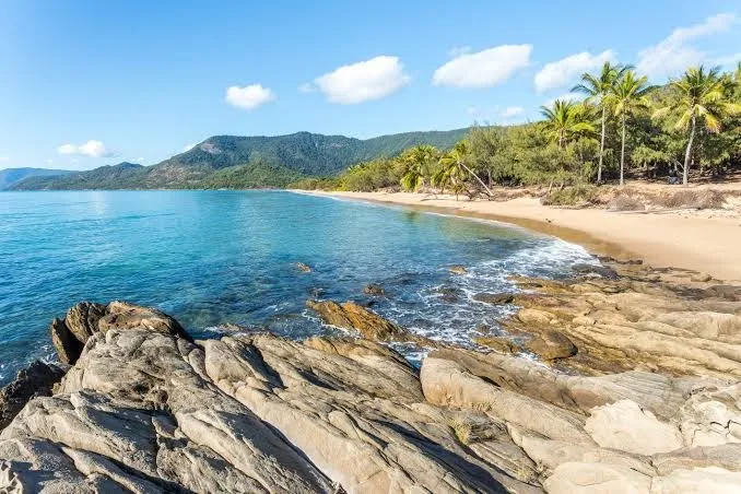 Thala Beach Nature Reserve, Great Barrier Reef interior view