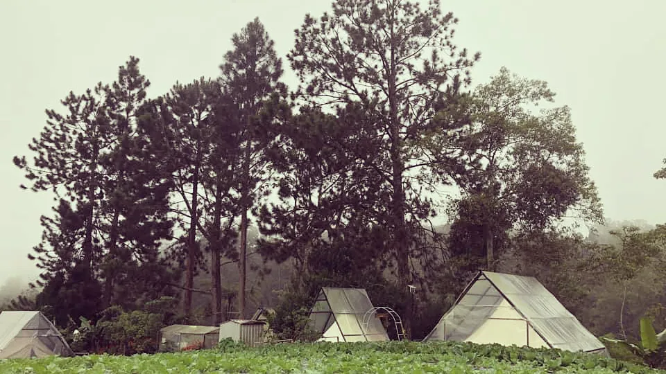 The Backyard Glamping Cameron Highlands, Cameron Highlands interior view