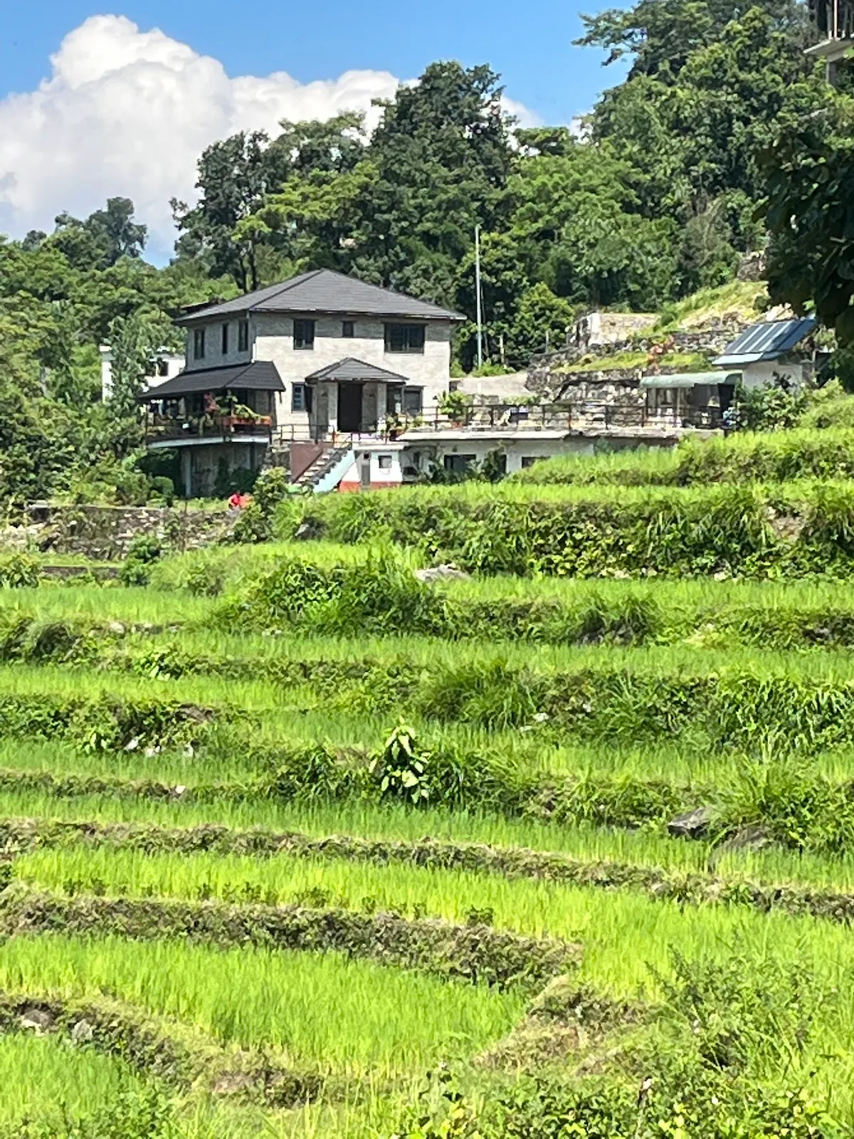 The North Face Inn's Homestay, Pokhara interior view