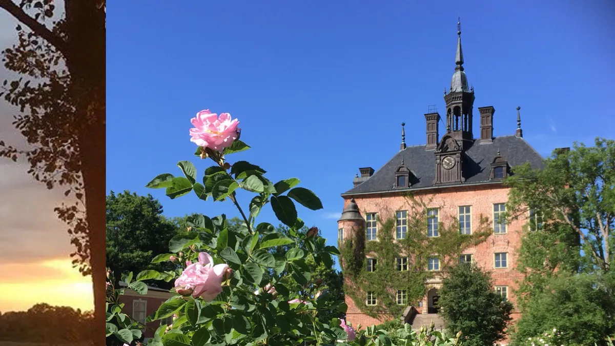 Wik's Castle, Uppsala interior view