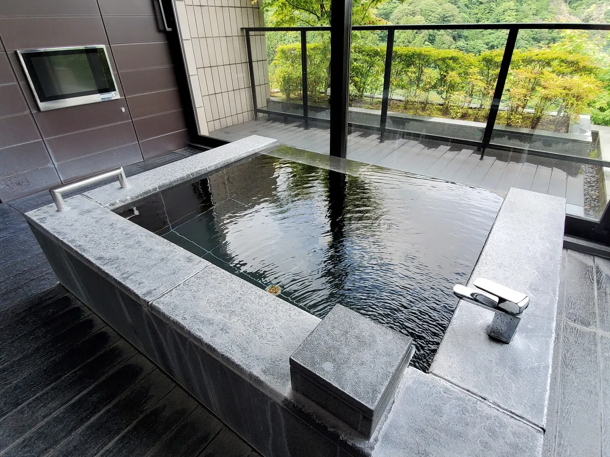 XIV Hakone Palace, Hakone interior view