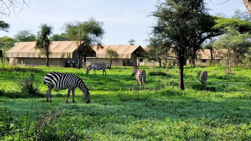 Ndutu Safari Lodge hotel in Ndutu