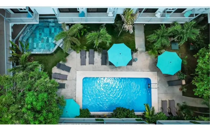 Wide Mouth Frog Backpackers hotel interior